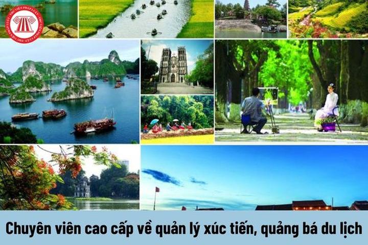 Từ Ý Tưởng Đến Hiện Thực: Chuyến Hành Trình Khởi Nghiệp Cùng Hotspot Matrix