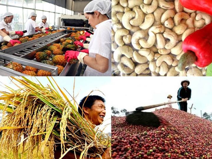 Video ngắn: Cánh đồng lời kể, nông sản sạch
