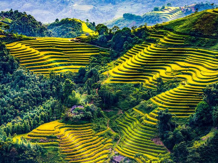 Xu hướng 3 kiểu giày 