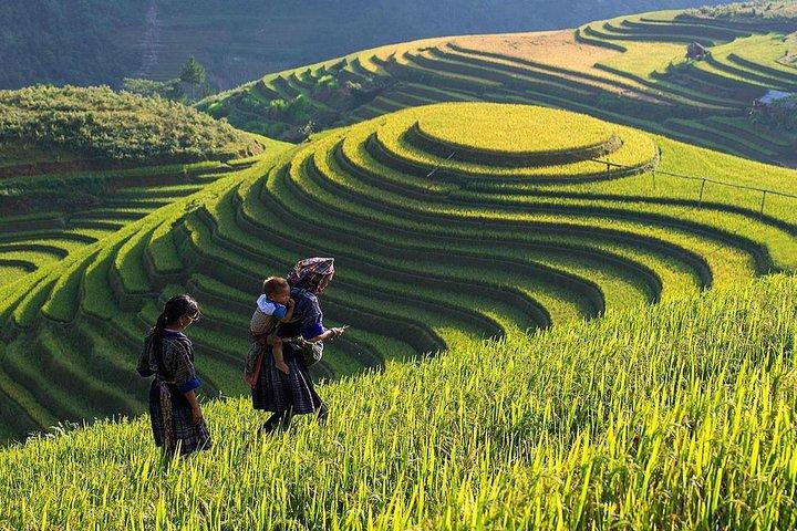 Từ 5 kiểu áo dễ 