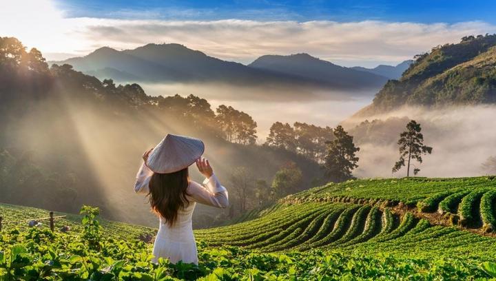 Trong những năm gần đây, xu hướng về thể thao và sức khỏe ngày càng trở nên