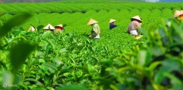 Tận dụng 