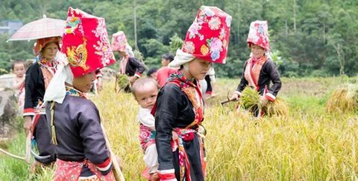 Blouse tay phồng quá đà: Tay phồng quá to dễ khiến tổng thể trông nặng nề, thay vào
